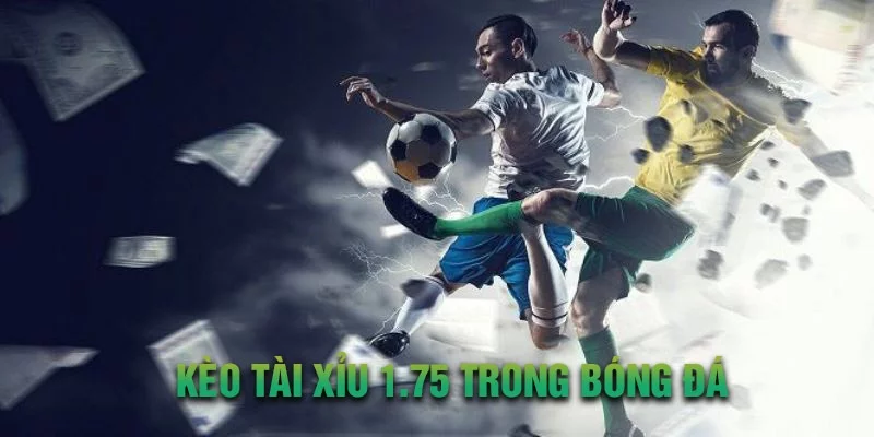 Kèo tài xỉu 1.75 trong bóng đá là lựa chọn của nhiều người chơi Kèo tài xỉu 1.75 trong bóng đá là lựa chọn của nhiều người chơi